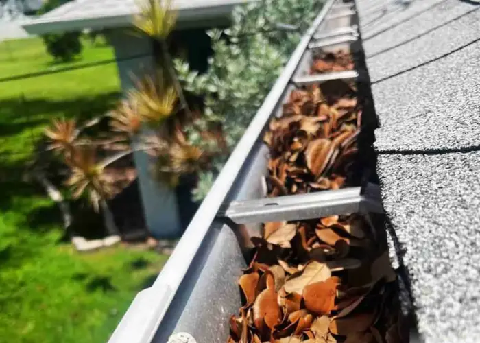 Berkeley Lake gutter cleaning home page